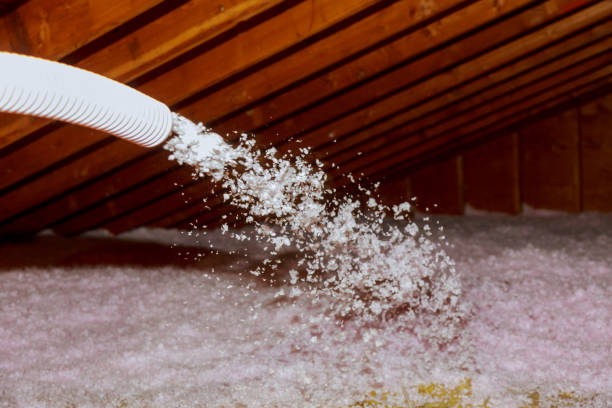 Insulation Inspection Services in Fullerton, NE